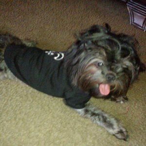 Meet your Posher, Jywanna